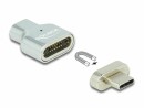 DeLock USB-Adapter Magnetisch USB-C Stecker - USB-C Buchse, USB