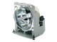 ViewSonic RLC-080 - Projector lamp - 240 Watt