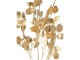 Botanic-Haus Kunstblume Lunaria 3-er Set, 74 cm, Produkttyp