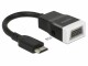DeLock Adapterkabel Mini-C-HDMI - VGA mit
