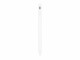 Targus - Stylet actif - antimicrobien - blanc