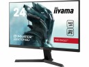 Iiyama Monitor WIDE LCD G-Master