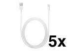 Apple Lightning auf USB Kabel (2m) - BULK - 5er Pack