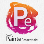 Painter Essentials