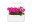 Image 1 Click and Grow Saatgut Pinke Petunie 3er-Pack, Bio: Nein, Blütenfarbe