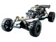 Amewi Buggy Pitbull X Evolution 2WD 1:5 RTR