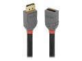 LINDY 0.5m DP extension cable Anthra