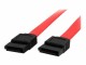 StarTech.com - 24in SATA Serial ATA Cable - SATA cable - Serial ATA 150 - SATA (F) to SATA (F) - 2 ft - red - SATA24