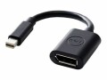 Dell Mini DP zu DP Adapter