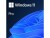Bild 0 Microsoft Windows 11 Pro Vollprodukt, OEM, Englisch, Produktfamilie