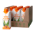 Bild 1 Forever Aloe Peaches - Set mit 12x 3.3dl