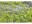Image 6 Gardena Sprühdüse 360° Micro-Drip-System, Bewässerungsart