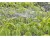 Bild 6 Gardena Sprühdüse 360° Micro-Drip-System, Bewässerungsart