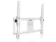 Multibrackets M - Universal Tilt Wallmount Medium