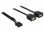 DeLock USB2.0 Pinheaderkabel 2x USB2.0 40 cm, Datenanschluss