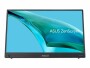 Asus Monitor ZenScreen MB16AHG, Bildschirmdiagonale: 15.6 "