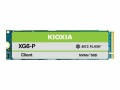 KIOXIA XG6-P Series - KXG60PNV2T04