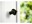Bild 1 Arlo Decken- & Wandhalterung VMA5001-10000S magnetisch 2