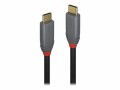 LINDY Anthra Line - USB-Kabel - 24 pin USB-C