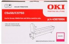 OKI Trommel 43870006 Magenta, Druckleistung Seiten: 20000 ×