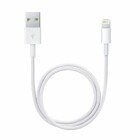 Apple Lightning auf USB Kabel (0.5 m)