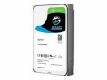 Seagate Harddisk SkyHawk 3.5" SATA 8 TB, Speicher