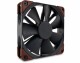 Noctua