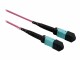 Value MPO-Trunk-Kabel, OM4, MPO/MPO, 3m