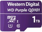 Western Digital WD Purple WDD100T1P0C - Scheda di memoria flash