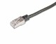 Wirewin Patchkabel RJ-45 - RJ-45, Cat 5e, F/UTP, 0.3