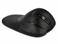 DeLock Ergonomische Maus 12673 Wireless für Rechtshänder