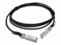 DrayTek Direct Attach Kabel v10GDAC-3m-DE-AT-CH SFP+/SFP+ 3 m