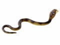 BULLYLAND Spielzeugfigur Kobra, Themenbereich: Neutral