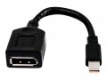 Hewlett-Packard  Single mini-DP-to-DP Adapter