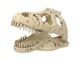 Repti Planet Dekoschädel T-Rex, Produkttyp Terraristik: Versteck