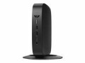 Hewlett-Packard HP Elite t655 - Thin client - SFF