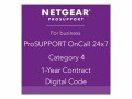 NETGEAR Netgear PMB0314-10000S: Lizenz für 1 Jahr
