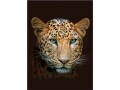 Hubatka Decke Leopard 150 x 200 cm, Braun, Eigenschaften