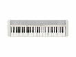 Casio Keyboard CT-S1WE Weiss, Tastatur Keys: 61, Gewichtung