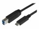 StarTech.com - USB C to USB B Printer Cable - 6 ft / 2m - USB C Printer Cable - USB C to USB B Cable - USB Type C to Type B (USB315CB2M)