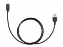 Kenwood Lightning auf USB Anschlusskabel KCA-iP103, Zubehörtyp