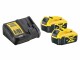 DeWalt Basis-Set XR Ladegerät & 2x 18 V 5