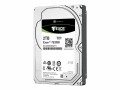 Seagate Harddisk Exos 7E2000 2.5" NL-SAS 2 TB, Speicher