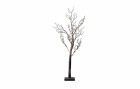 Sirius Baum Tora, 100 LEDs, 120 cm, Höhe: 120