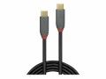 LINDY Anthra Line USB Cable, USB 3.1