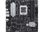 Asus Mainboard PRIME A620M-A-CSM, Arbeitsspeicher Bauform