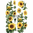 Redesign Decor Transferfolie - Sunflower