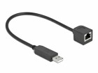 DeLock Anschlusskabel USB-A zu RS-232 RJ45, 25 cm