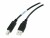 Bild 1 APC NetBotz USB Cable NetBotz USB Cable, Plenum-rated -