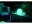 Image 2 Eve Systems LED-Leuchte Eve Flare, Lampensockel: LED fest verbaut